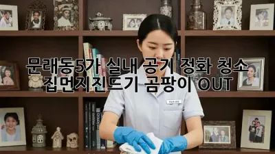 문래동5가 실내 공기 정화 청소: 집먼지진드기, 곰팡이 OUT!