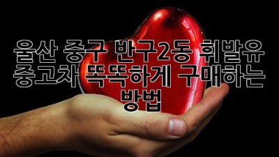 울산 중구 반구2동 휘발유 중고차, 똑똑하게 구매하는 방법